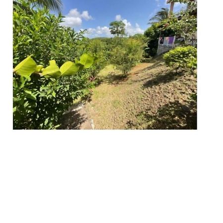 Villa Lutecia แซ็งต์-ลูซ ภายนอก รูปภาพ