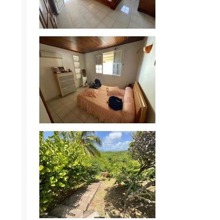 Villa Lutecia แซ็งต์-ลูซ ภายนอก รูปภาพ